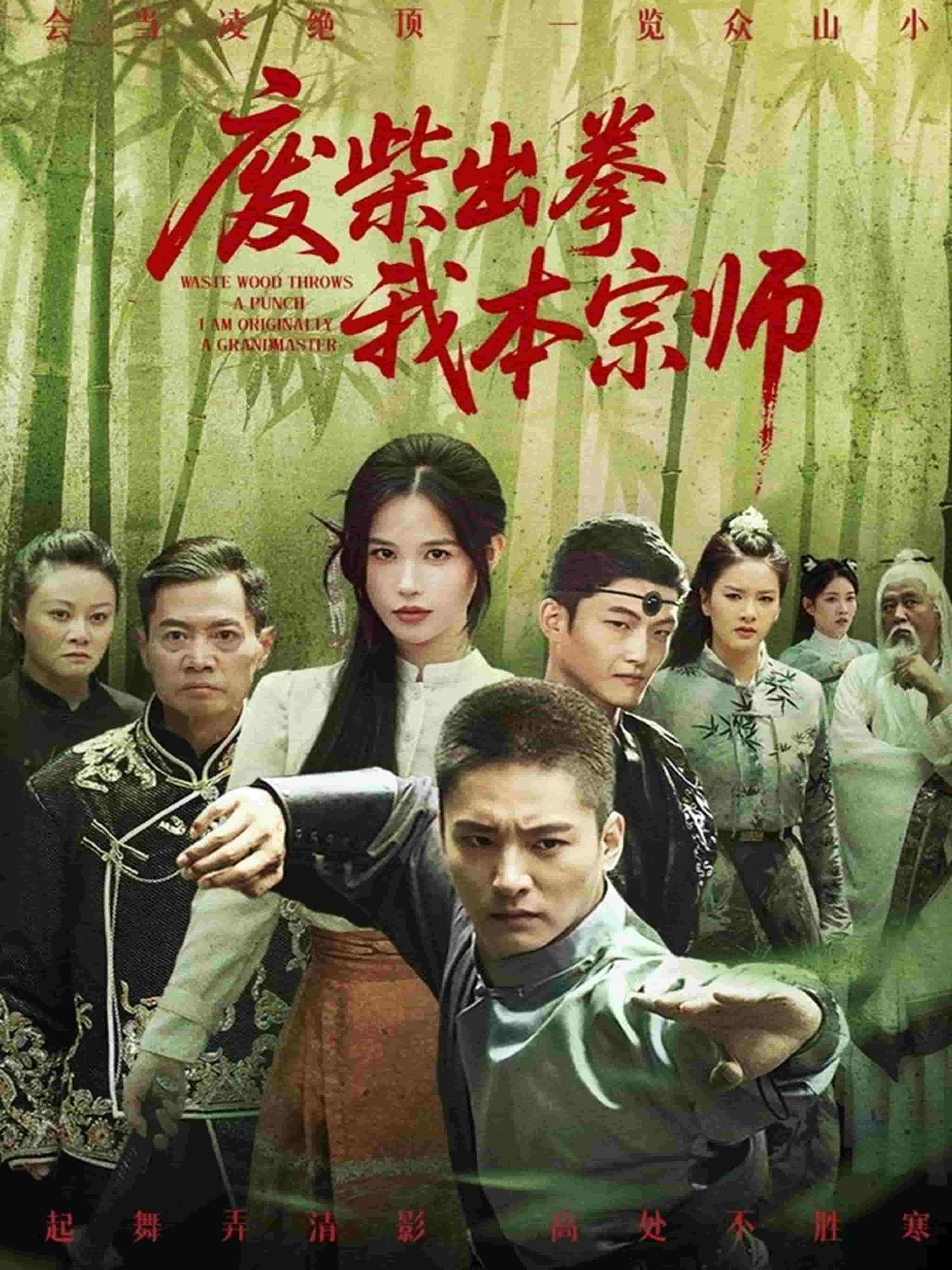 《废柴出拳我本宗师》