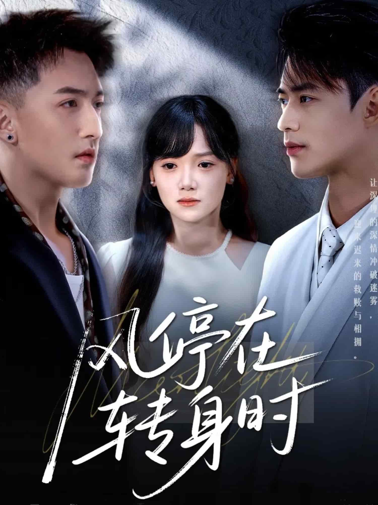 《风停在转身时》