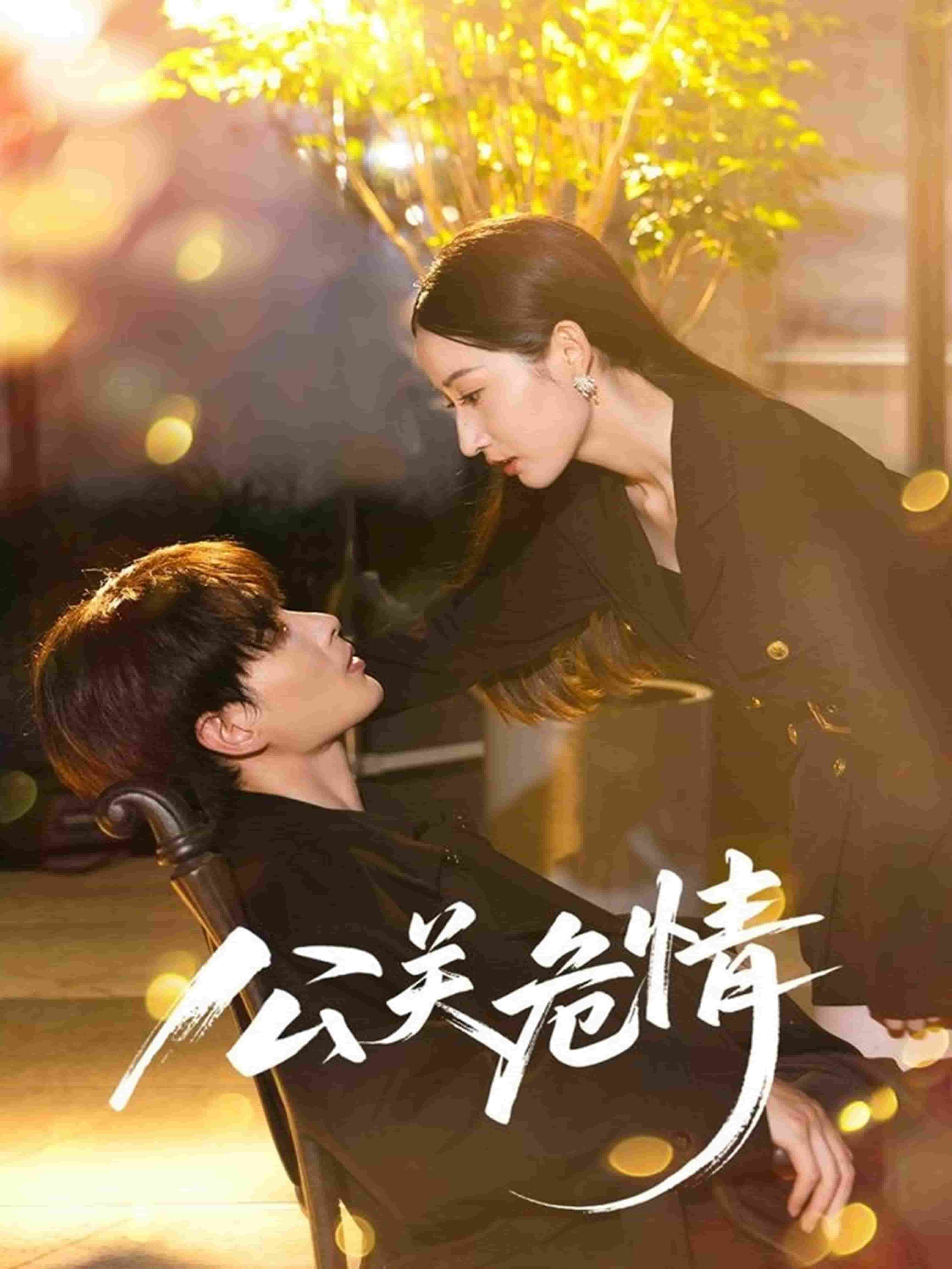 《公关危情》