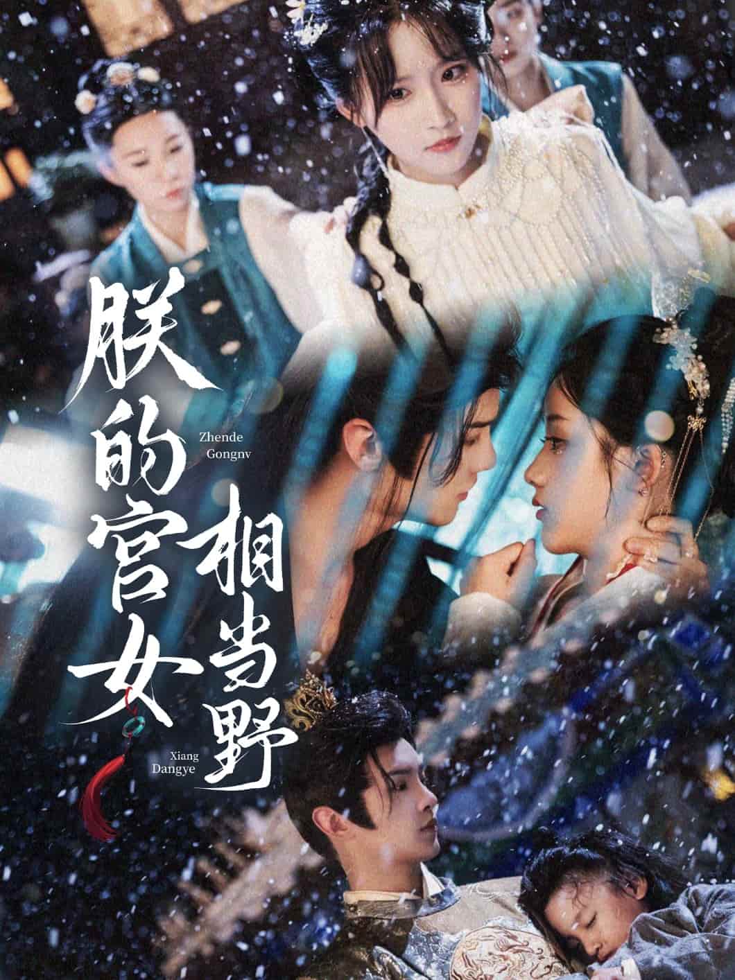 《朕的宫女相当野》