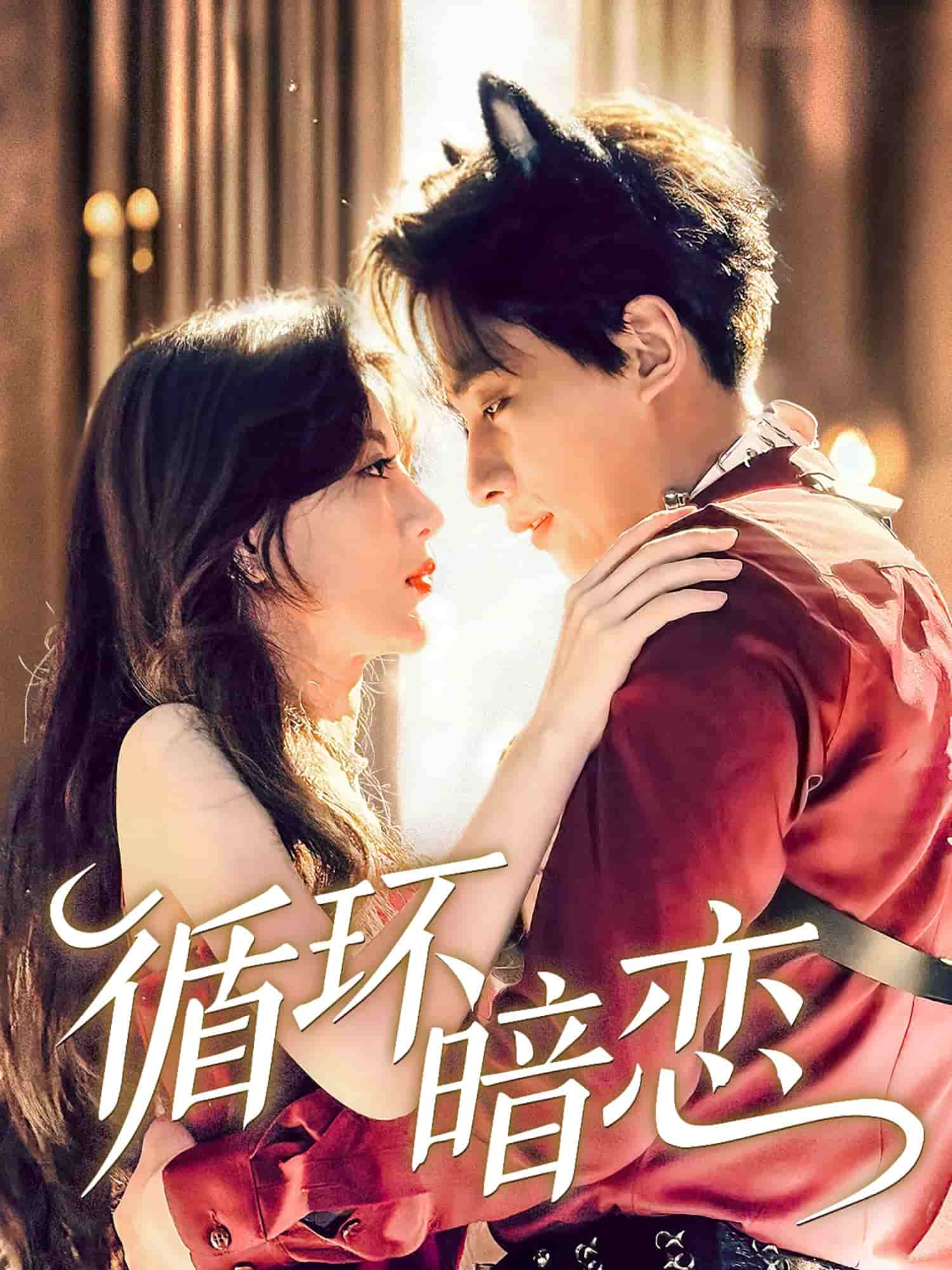 《循环暗恋》