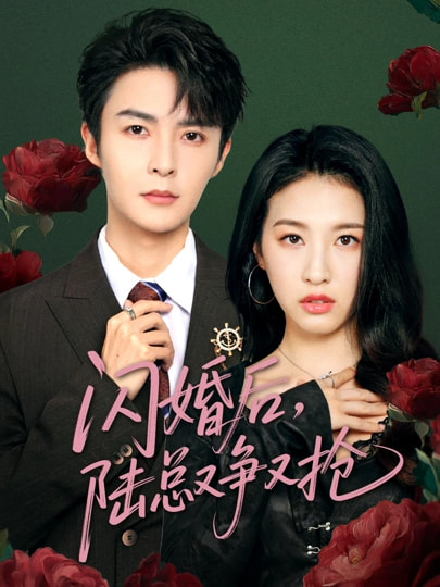 《闪婚后陆总又争又抢》