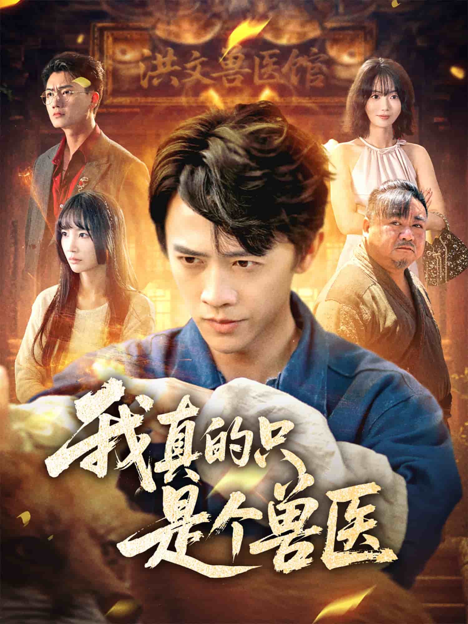 《我真的只是个兽医》