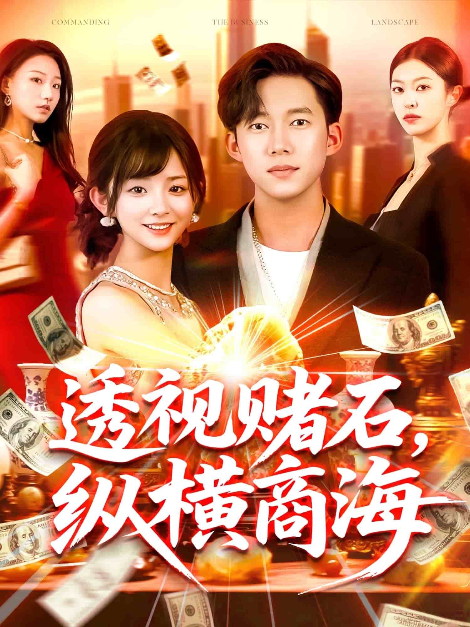 《透视赌石，纵横商海》