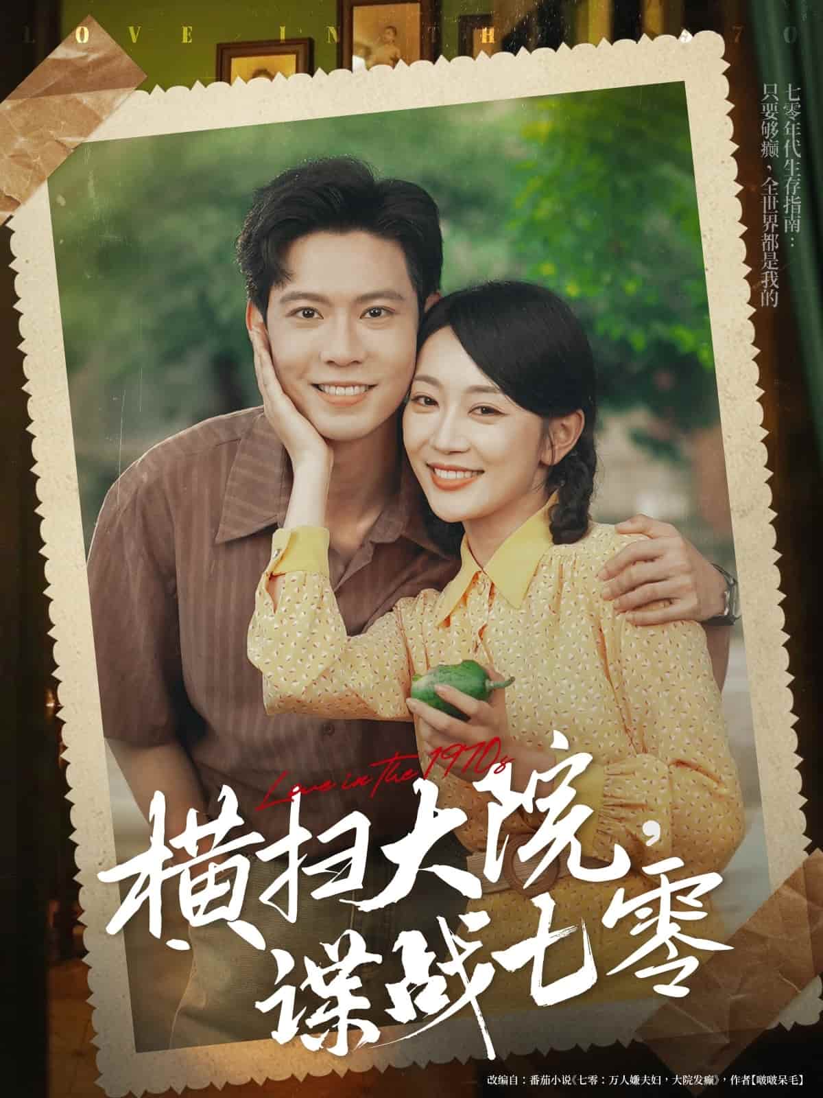 《横扫大院谍战七零》