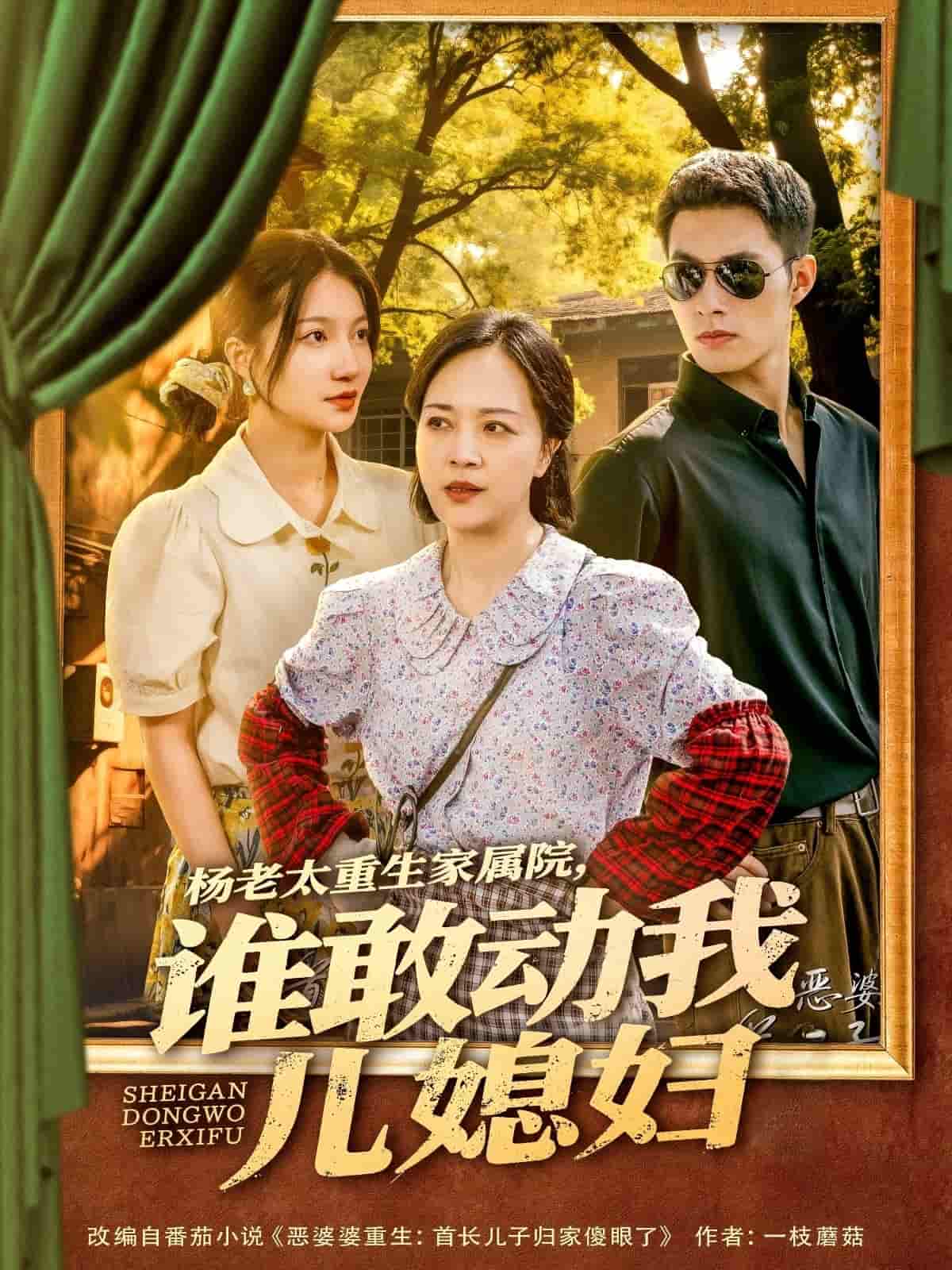 《杨老太重生家属院，谁敢动我儿媳妇》