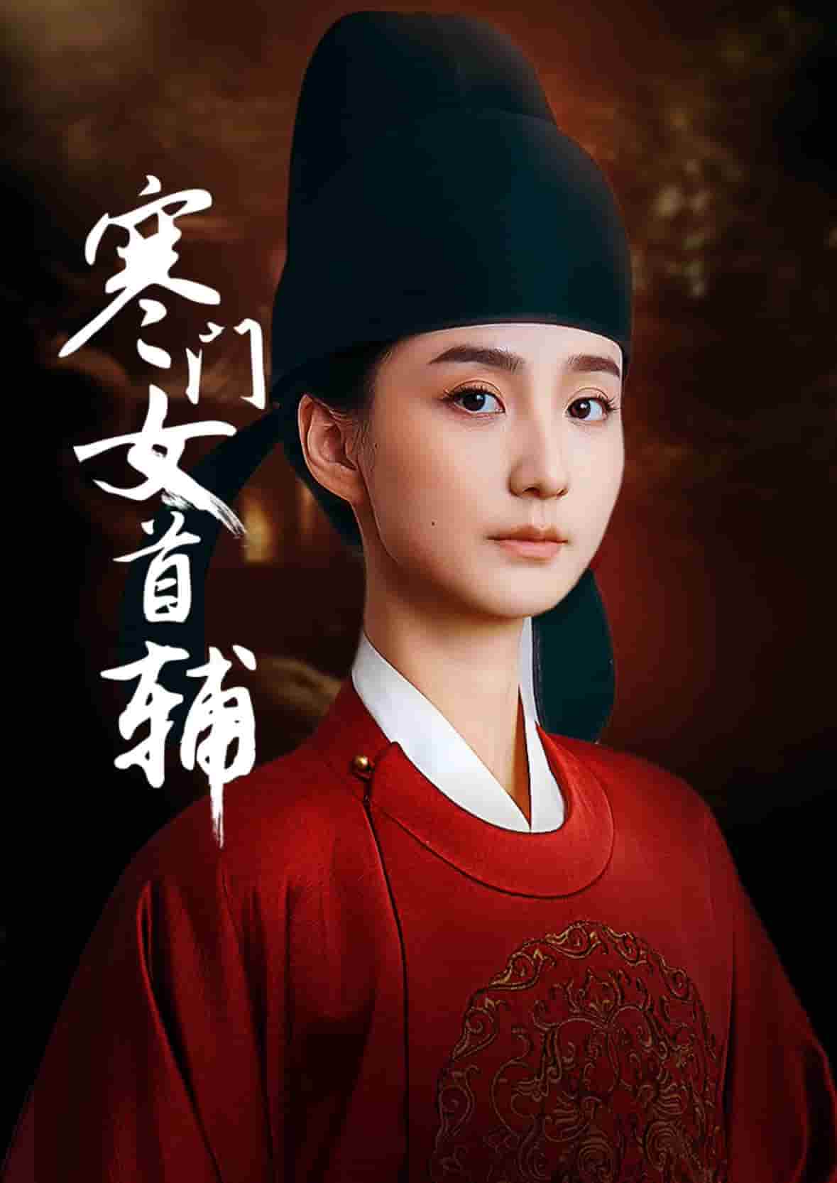 《寒门女首辅》