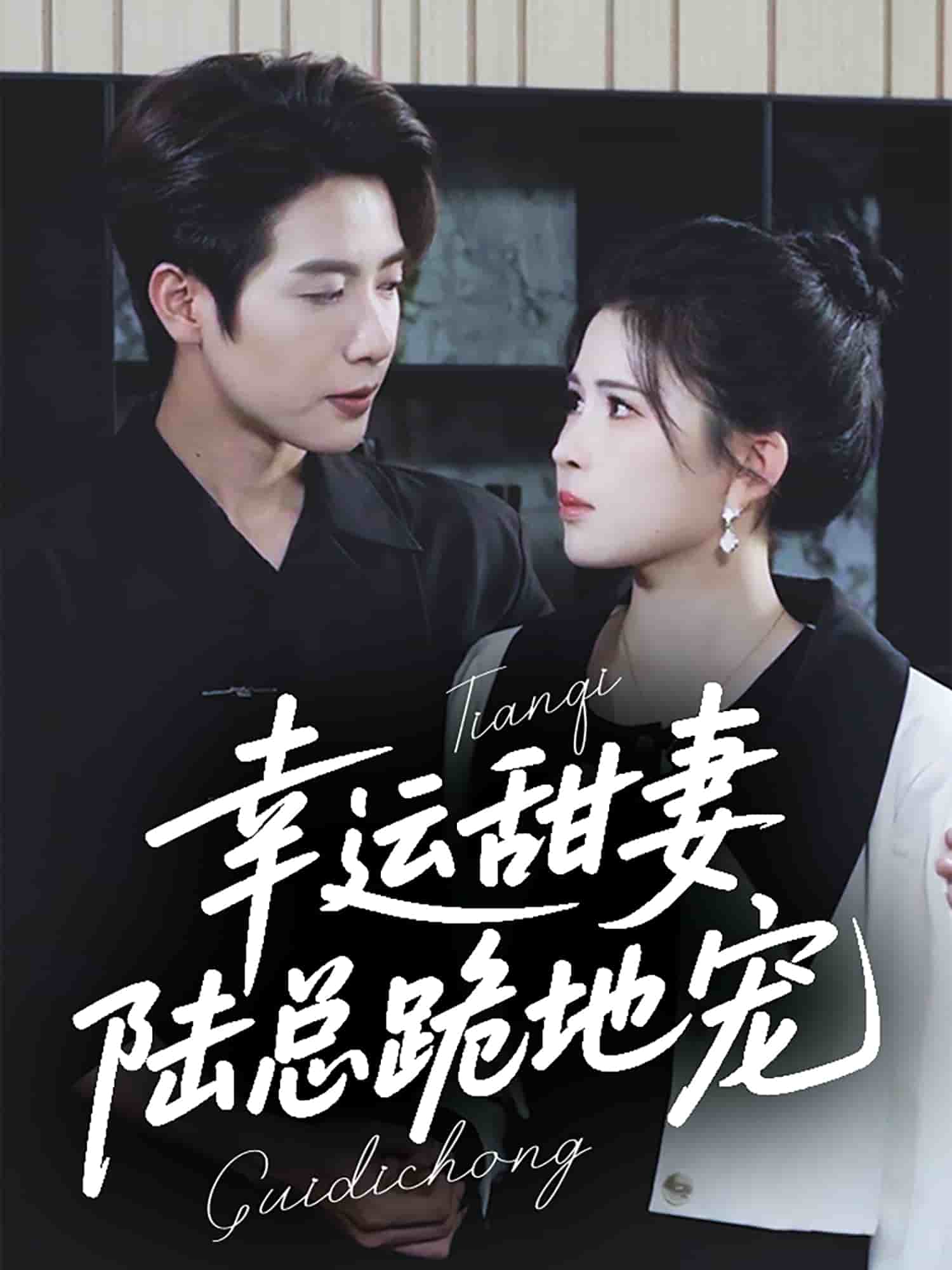 《幸运甜妻，陆总跪地宠》