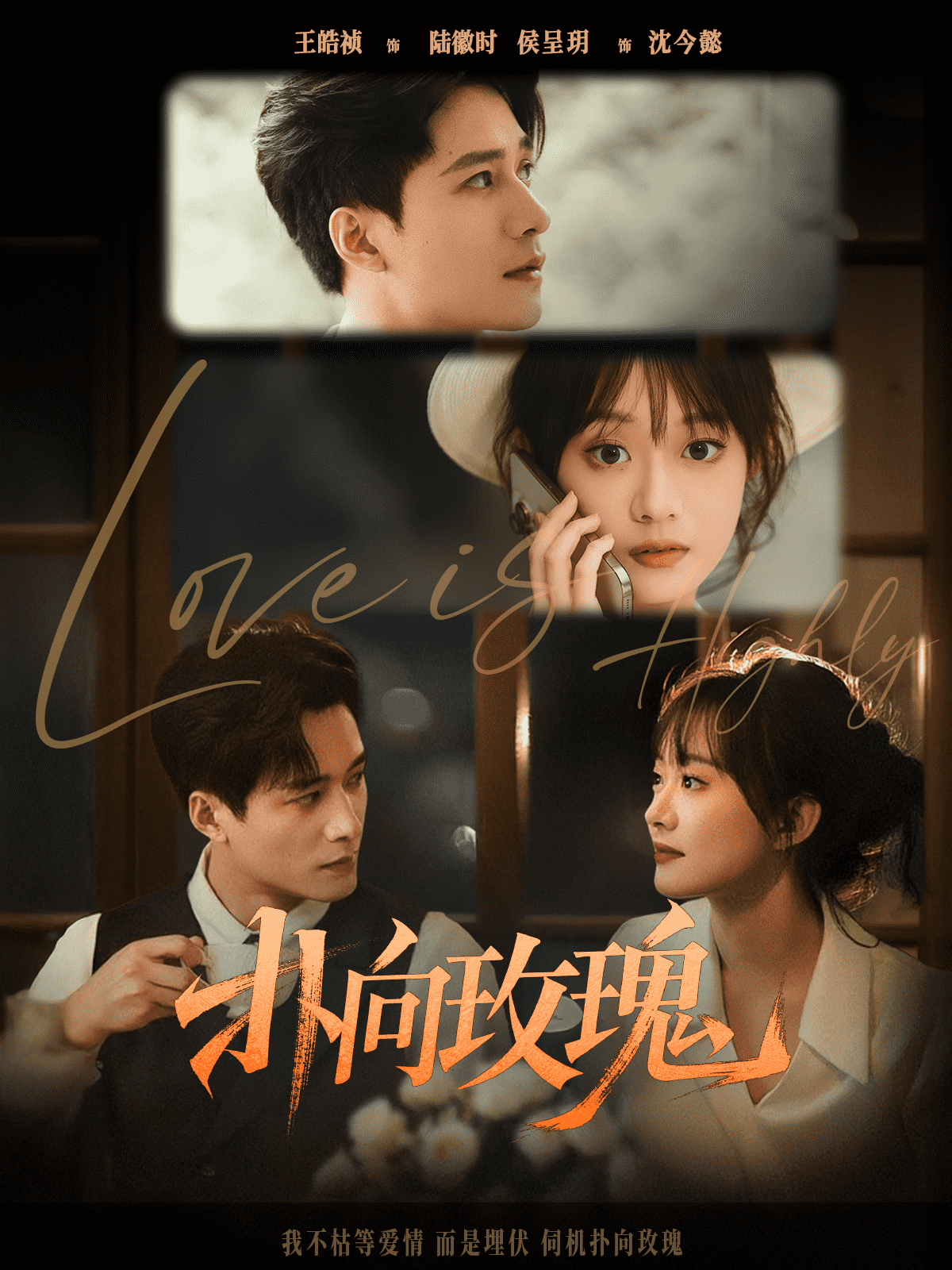 《扑向玫瑰》