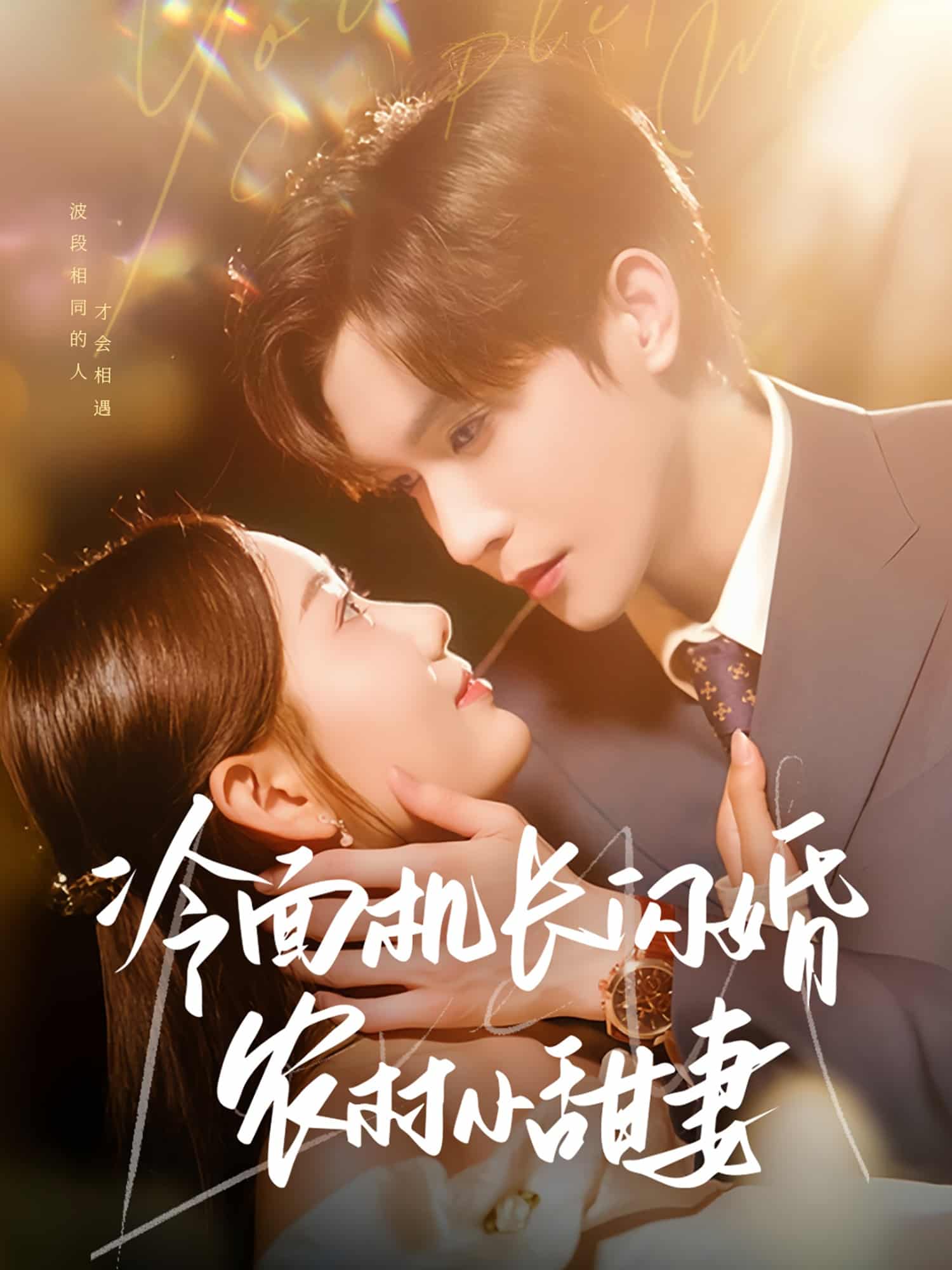 《冷面机长闪婚农村小甜妻》