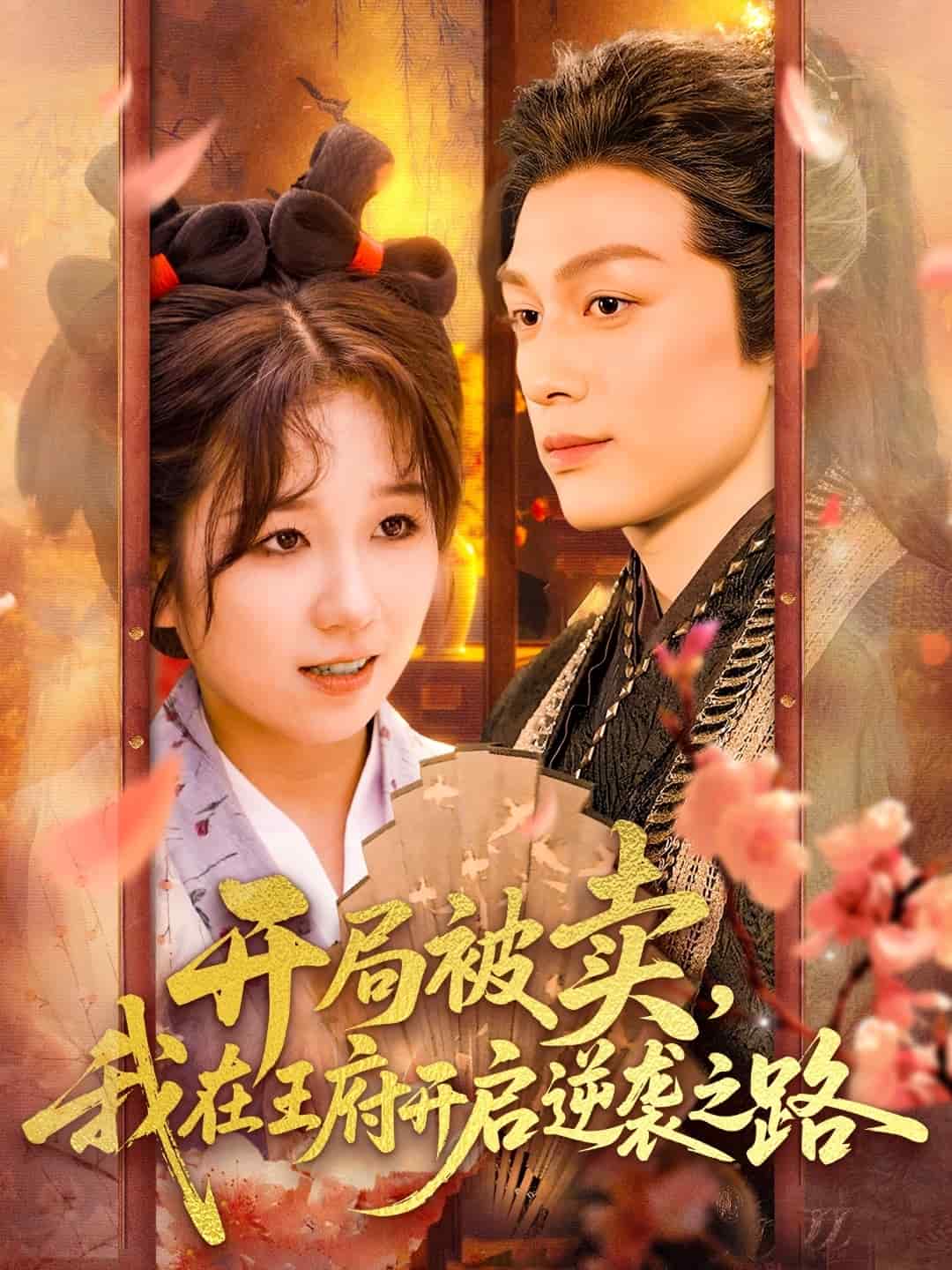 《开局被卖我在王府开启逆袭之路》