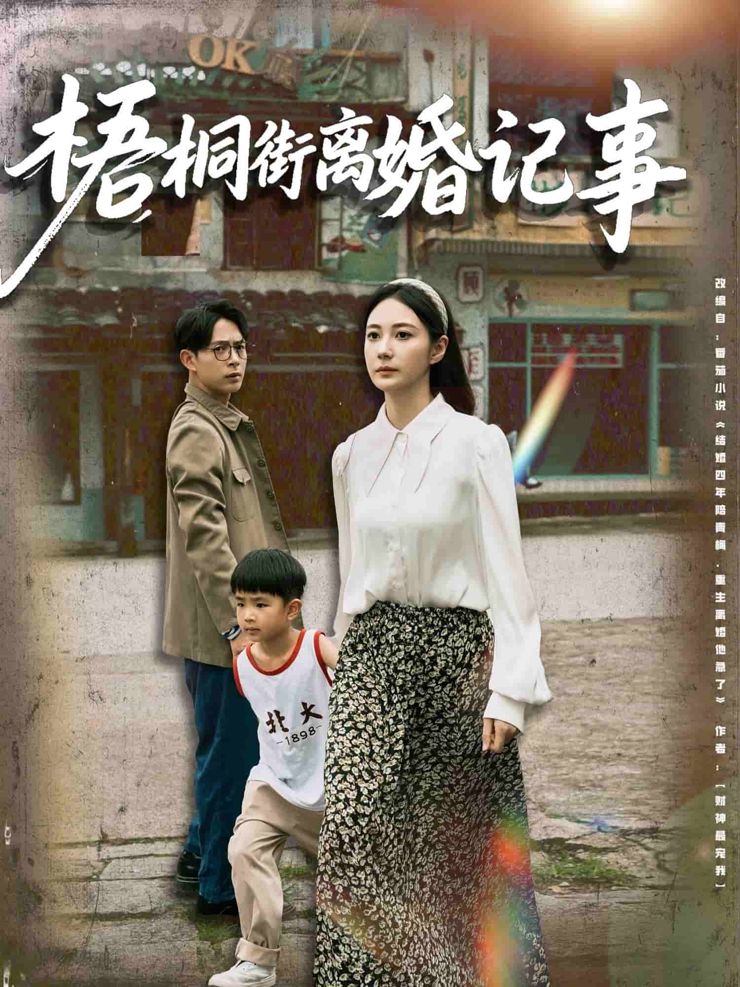 《梧桐街离婚记事》