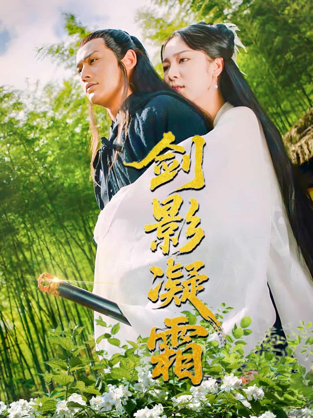 《剑影凝霜》
