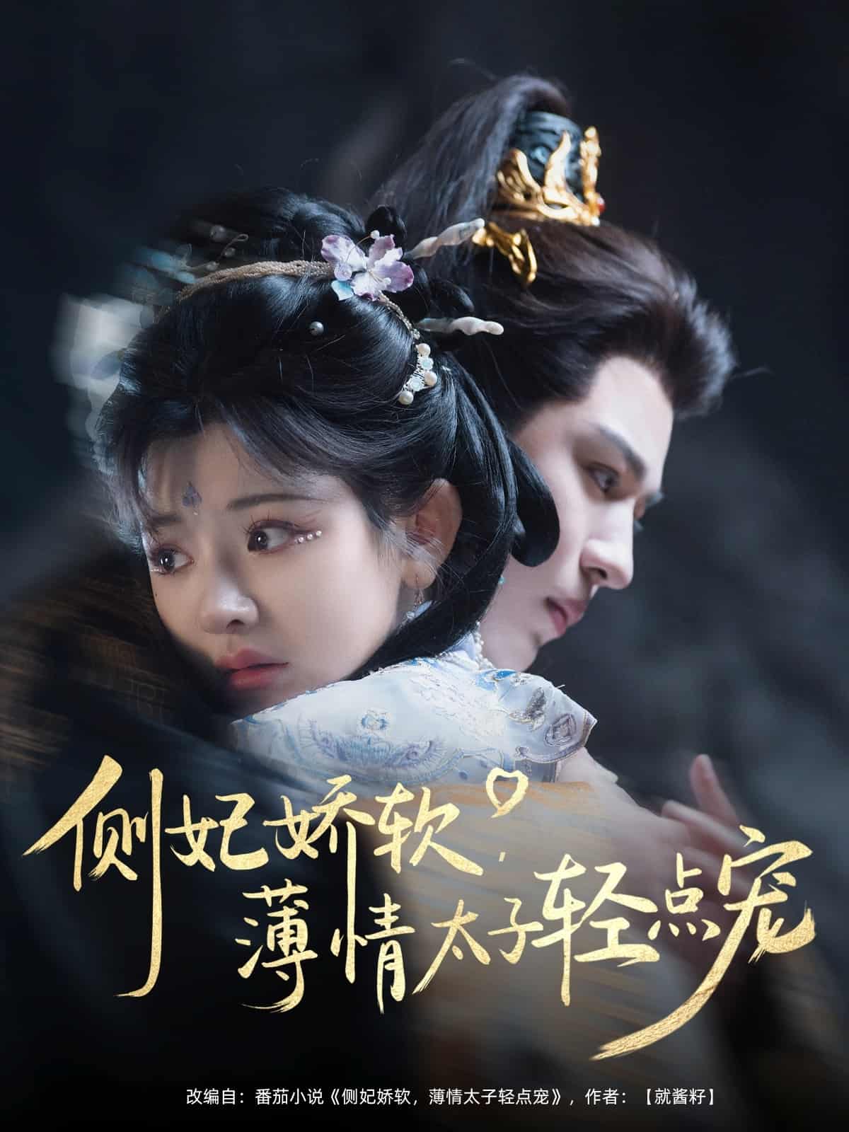 《侧妃娇软薄情太子轻点宠》