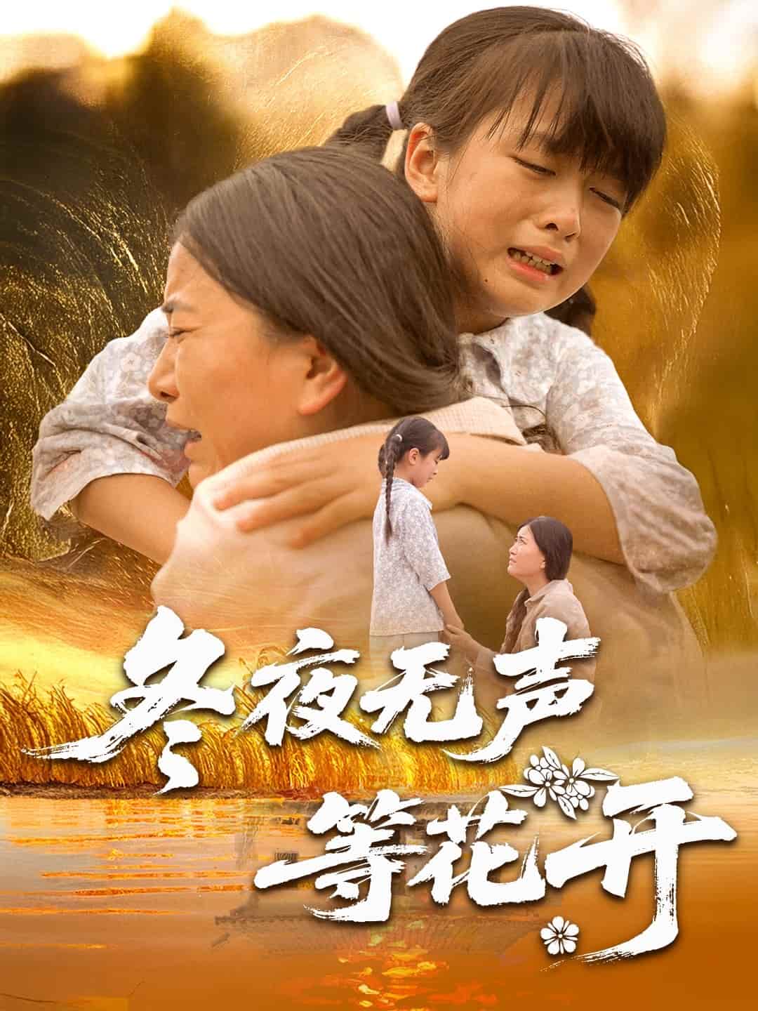 《冬夜无声等花开》