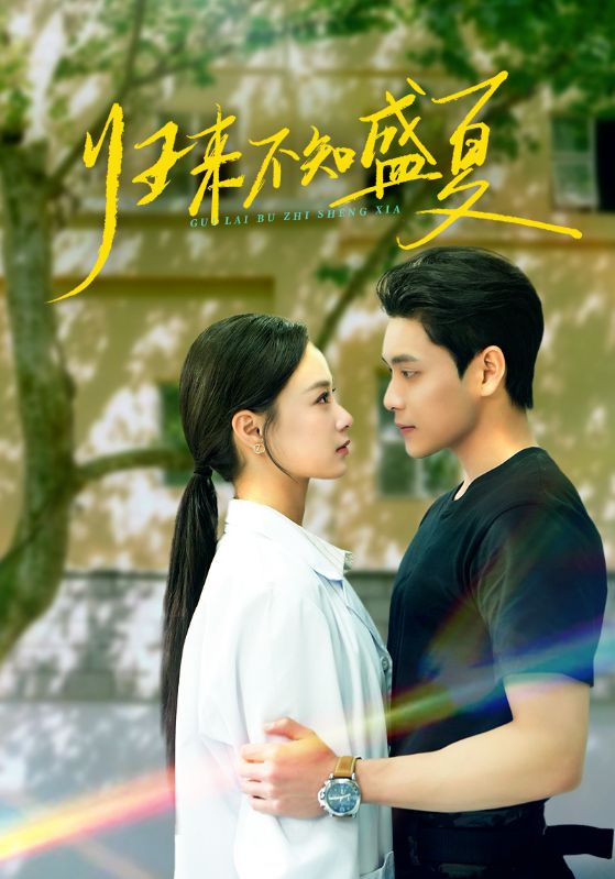 《归来不知盛夏》
