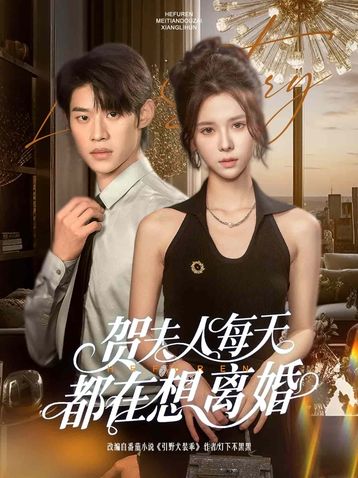 《贺夫人每天都在想离婚》