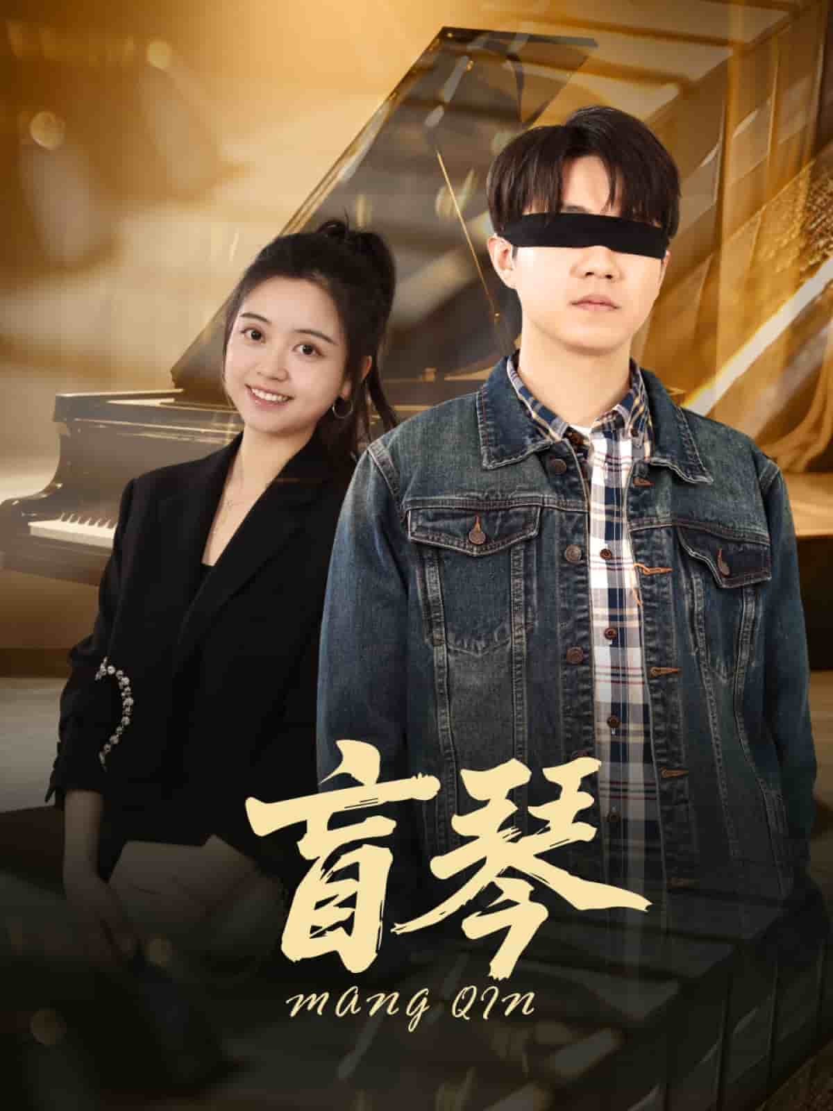 《盲琴》