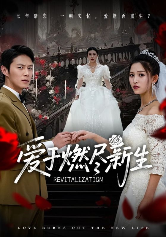 《爱于燃尽新生》