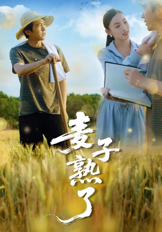 《麦子熟了》
