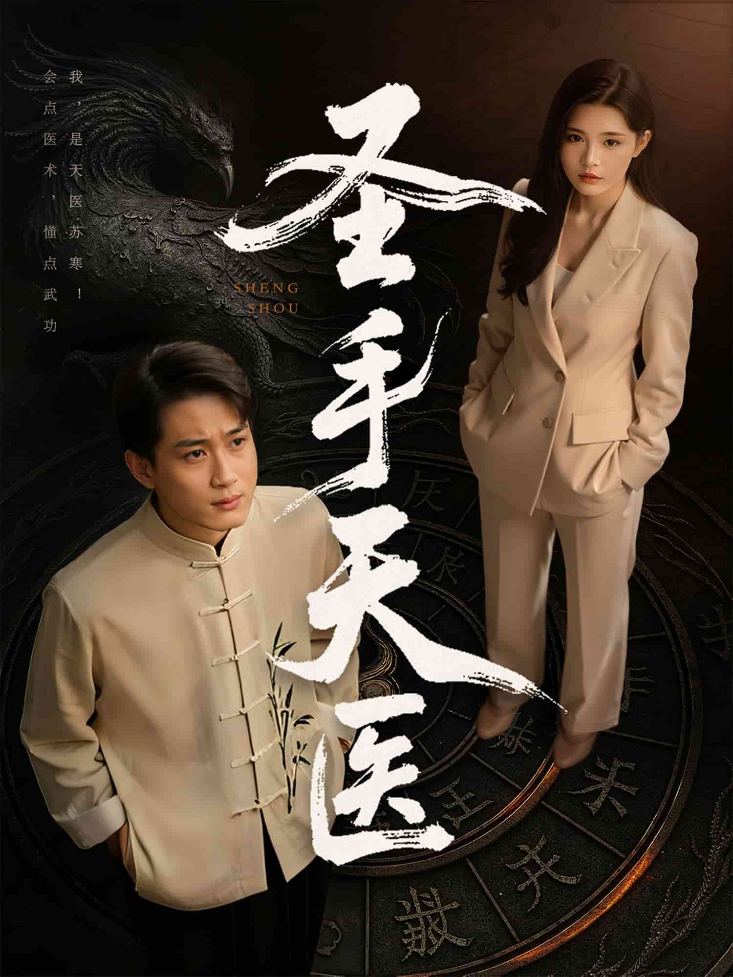 《圣手天医》