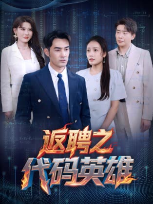 《返聘之代码英雄》