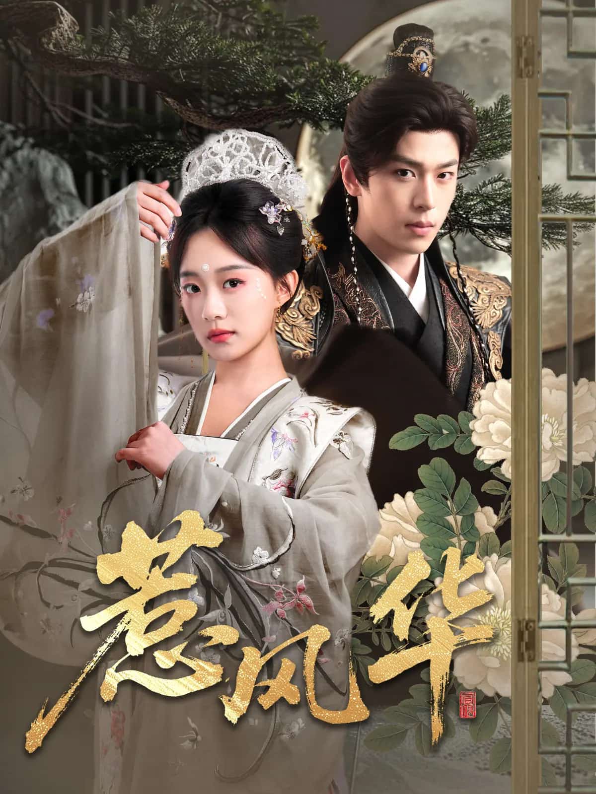 《惹风华》