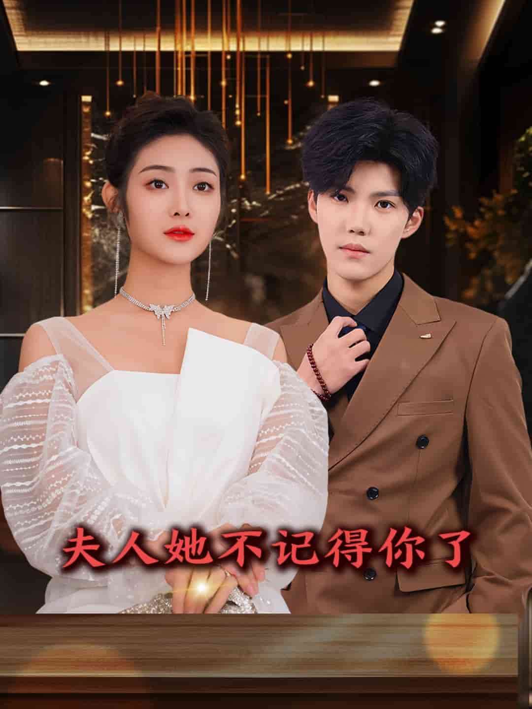 《夫人她不记得你了》