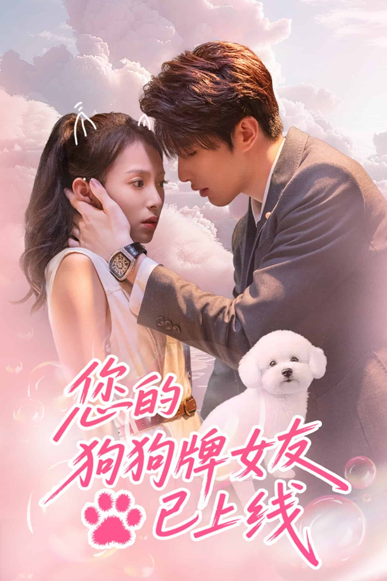 《您的狗狗牌女友已上线》
