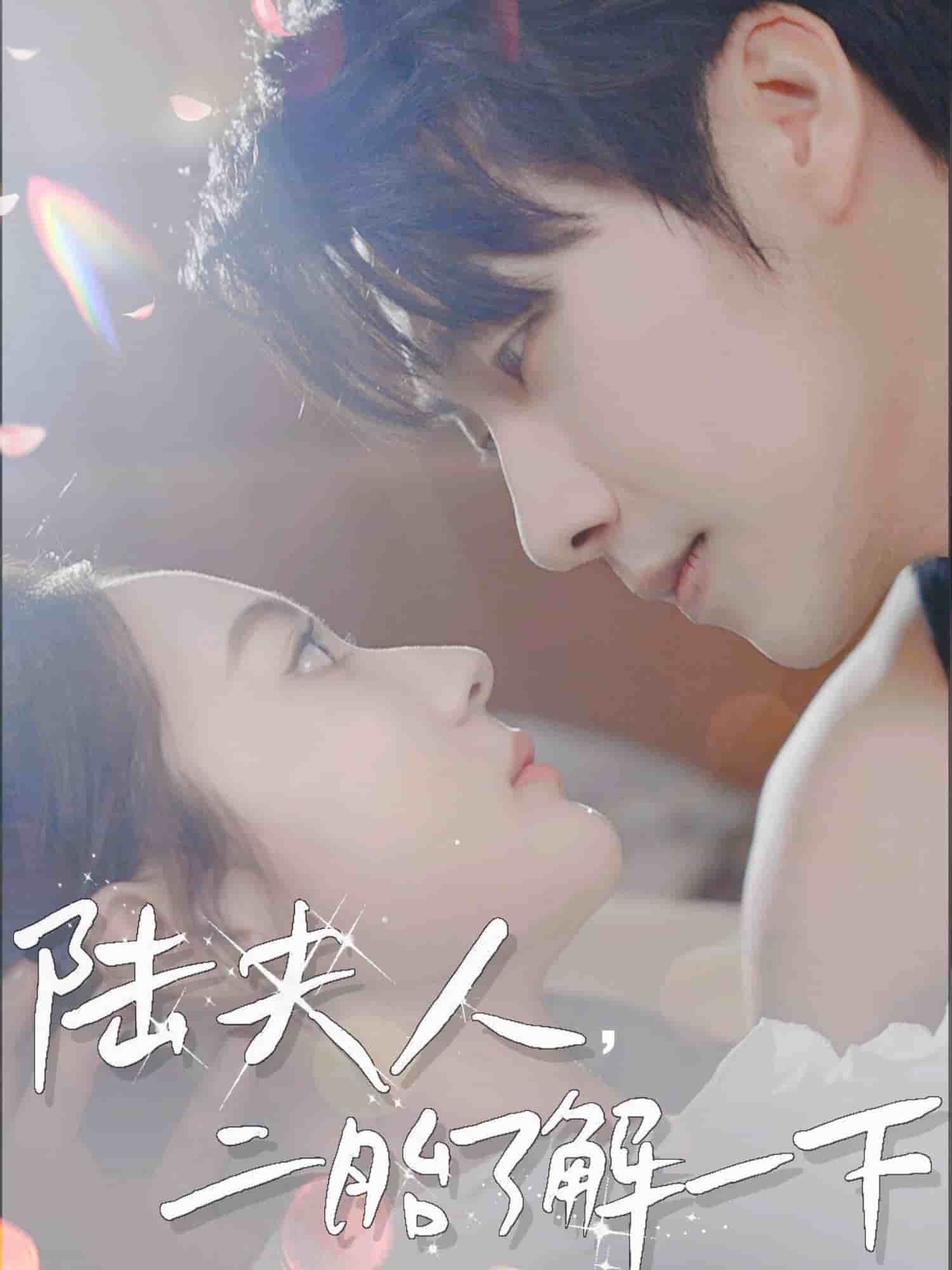 《陆夫人，二胎了解一下》