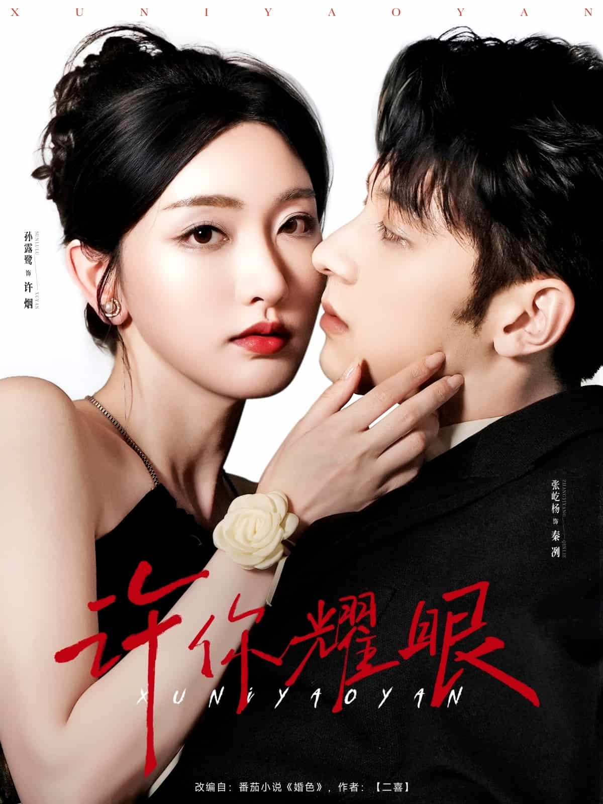 《许你耀眼》