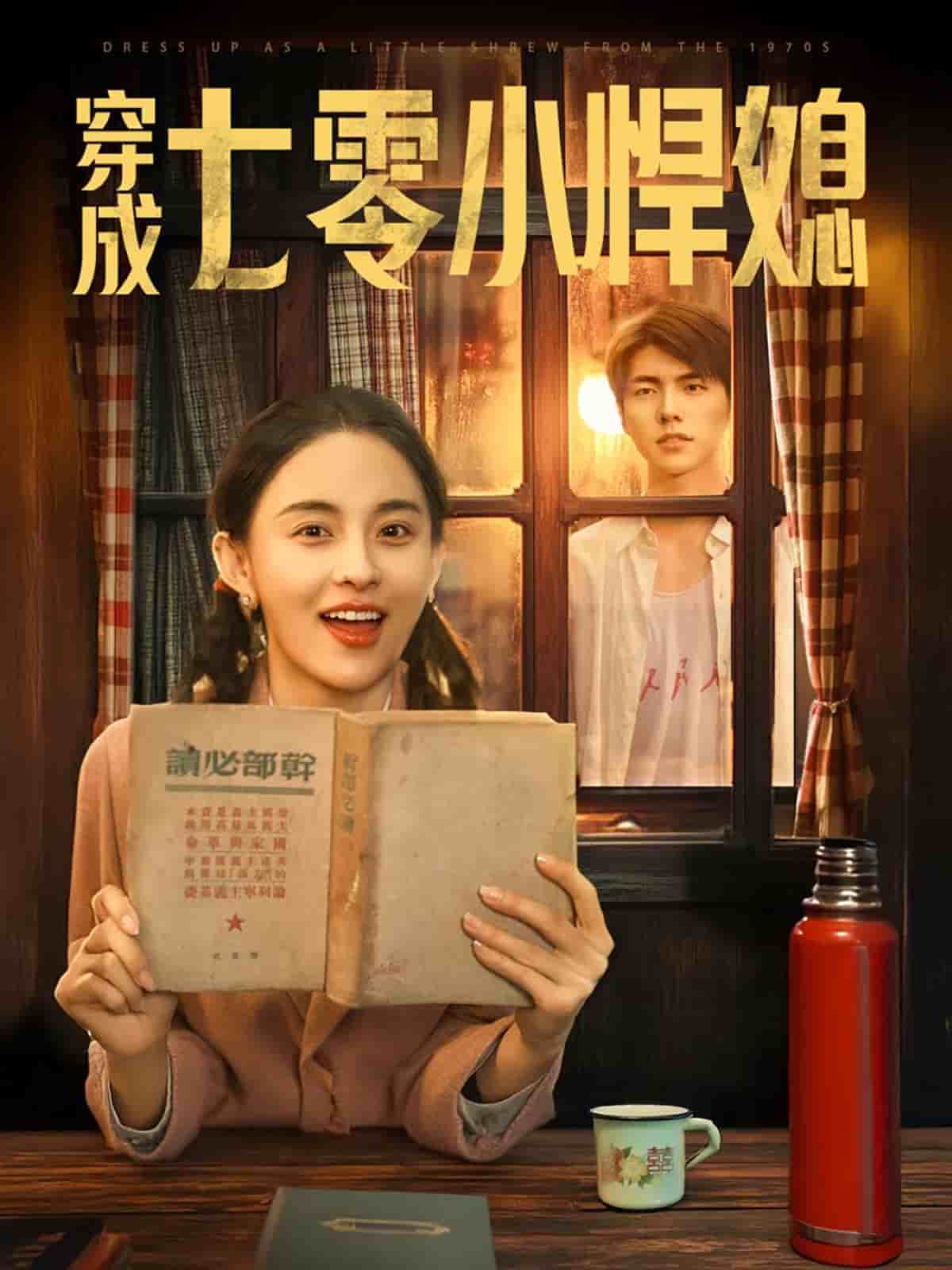 《穿成七零小悍媳》