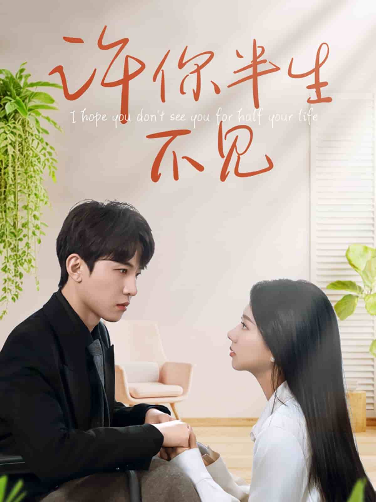 《许你半生不见》