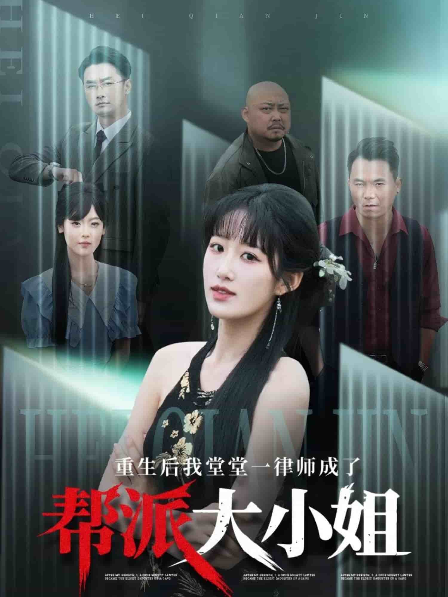 《重生后我堂堂一律师成了帮派大小姐》