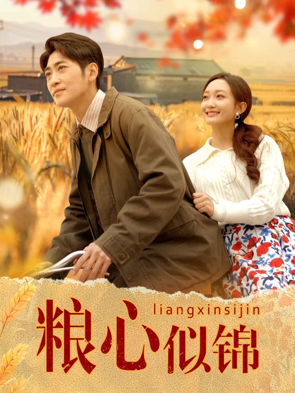 《粮心似锦》