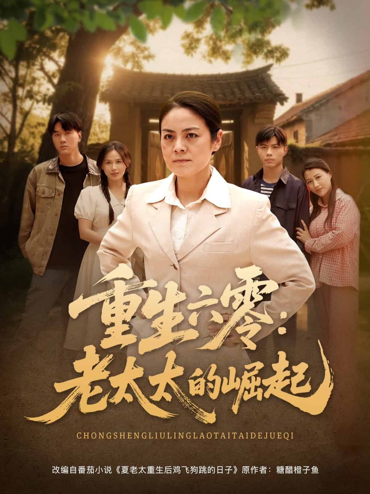 《重生六零：老太太的崛起》