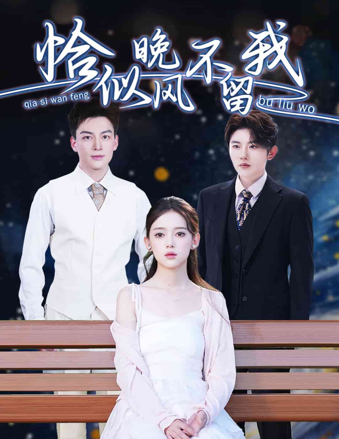 《恰似晚风不留我》