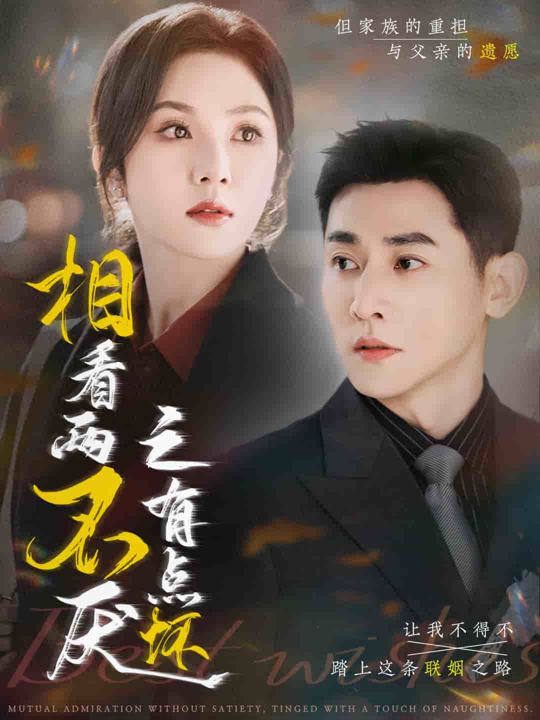 《相看两不厌之有点坏》