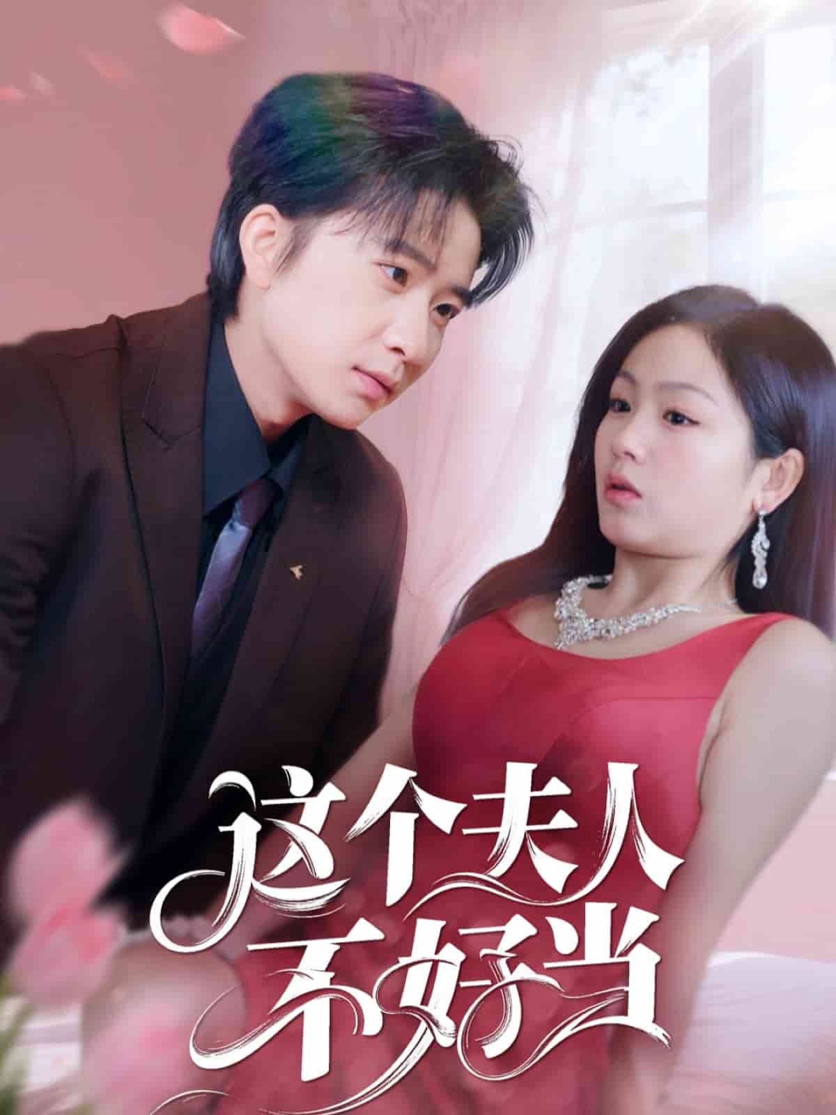 《这个夫人不好当》