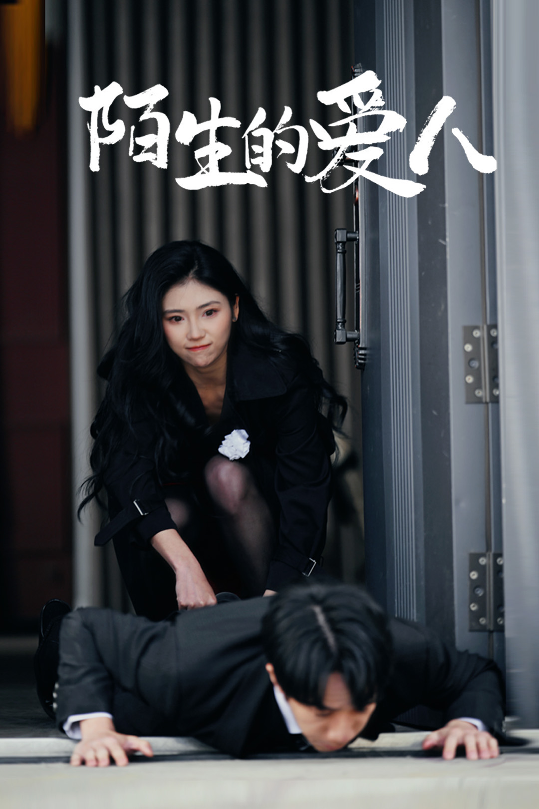 《陌生的爱人》