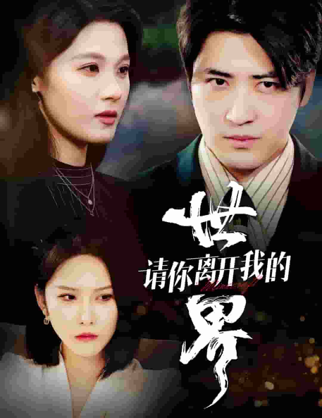 《请你离开我的世界》