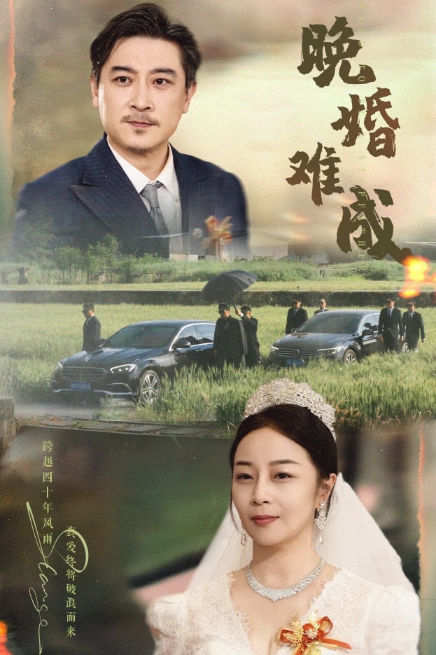《晚婚难成》