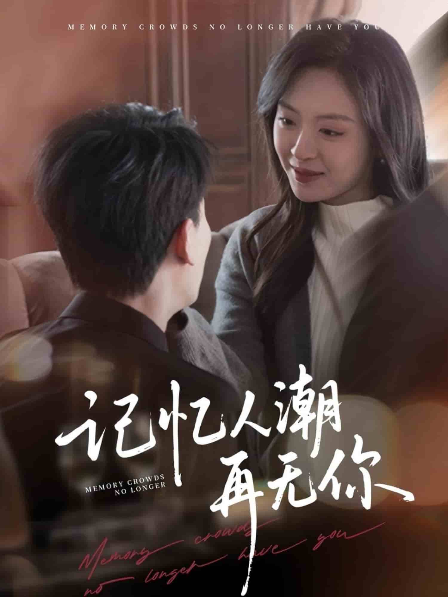 《记忆人潮再无你》