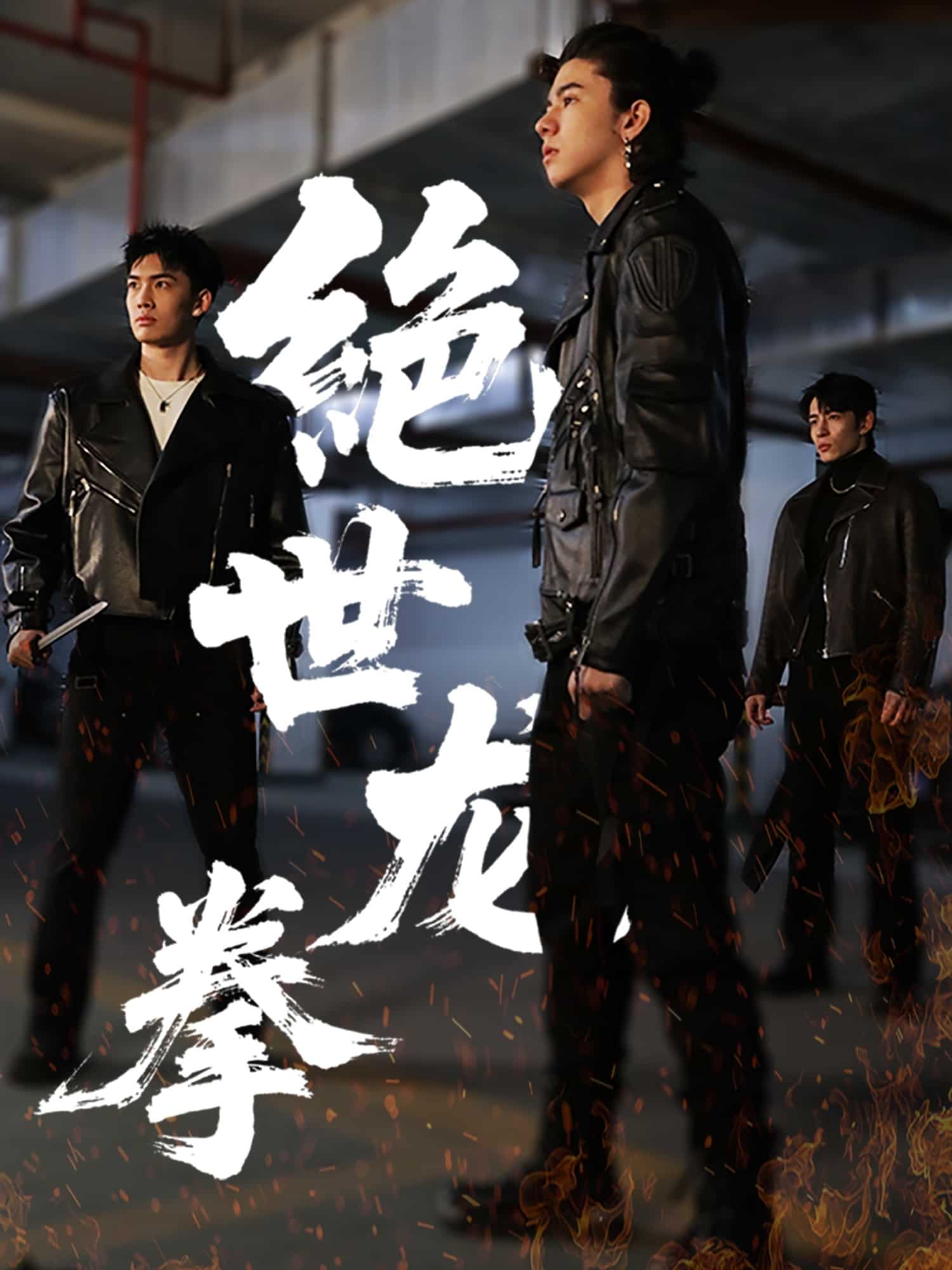 《绝世龙拳》