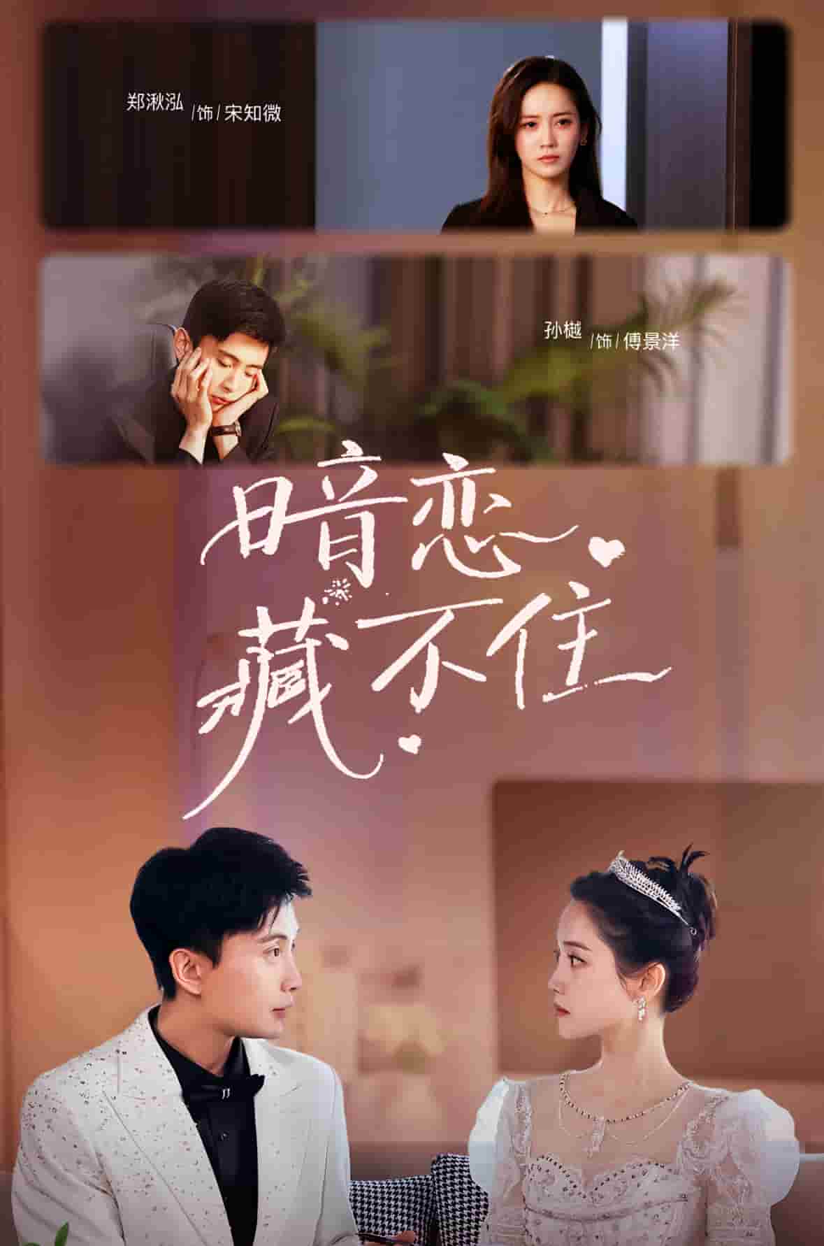 《暗恋藏不住》