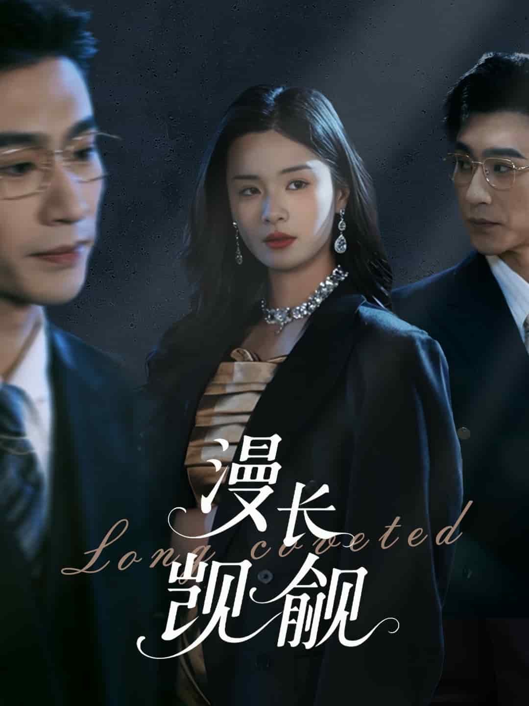 《漫长觊觎》