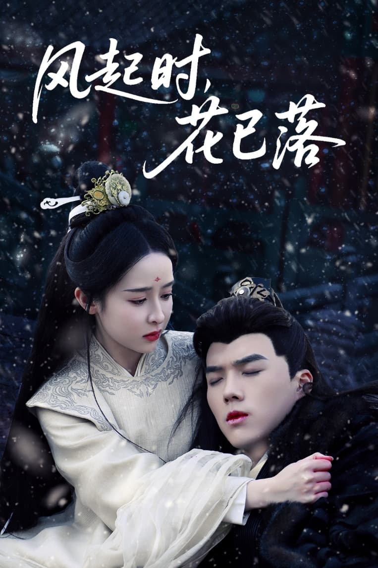 《风起时，花已落》