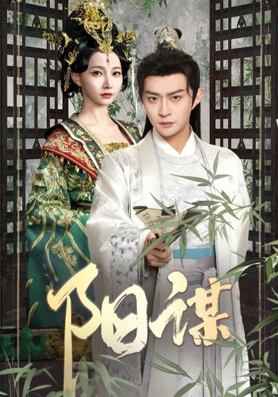 《阳谋》