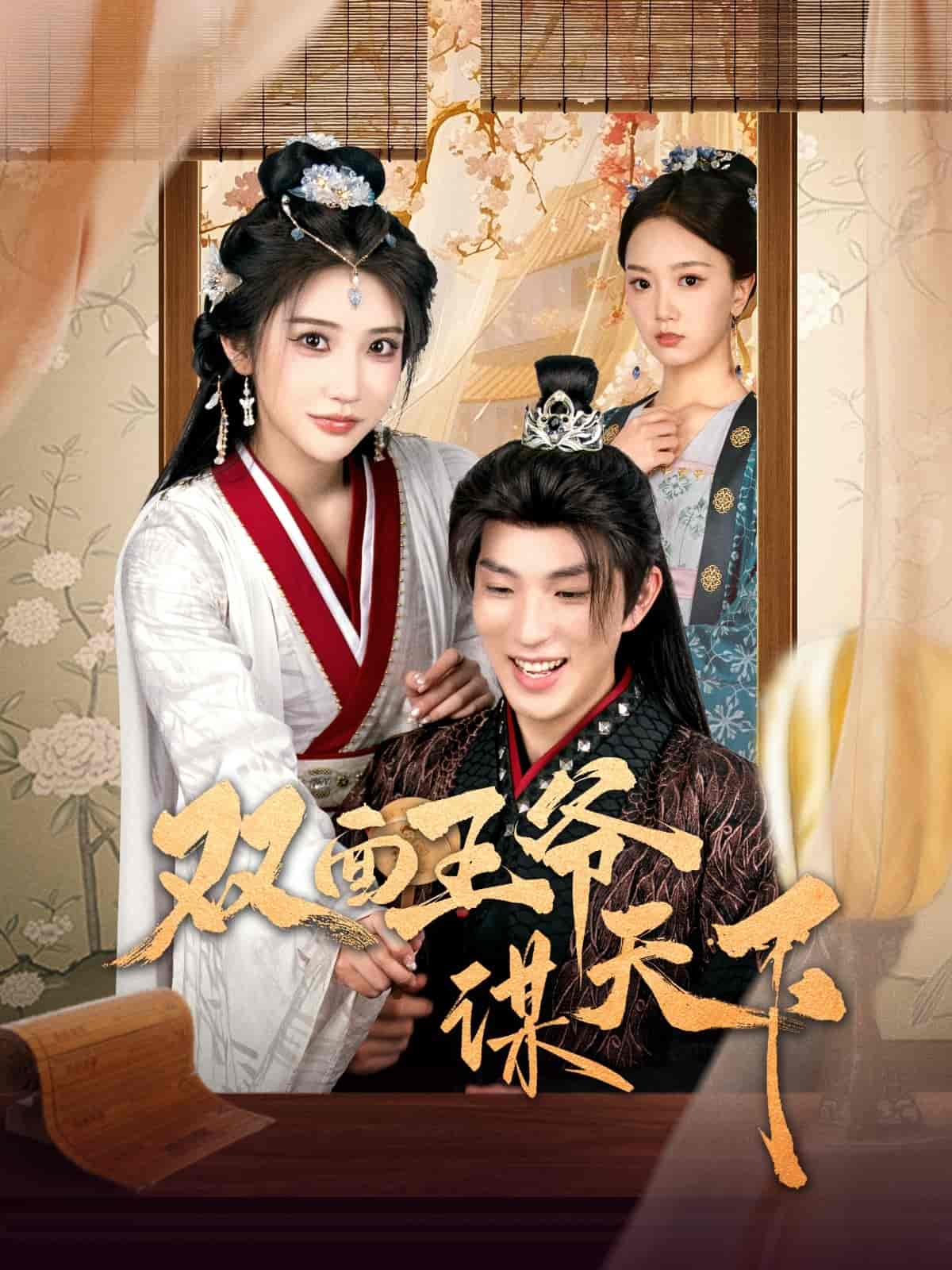 《双面王爷谋天下》